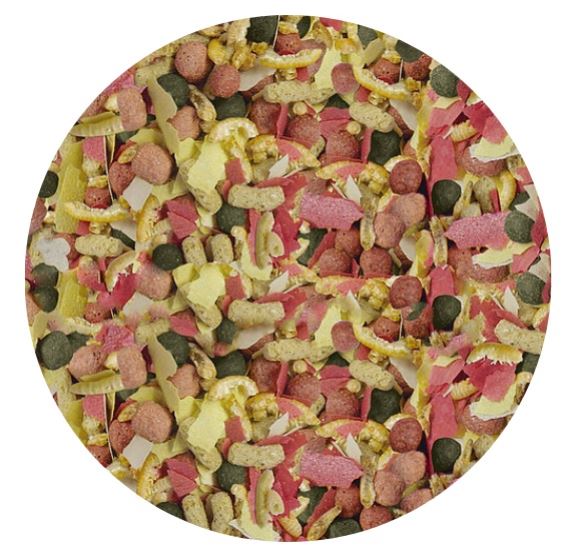 מזון פרימיום לדגי בריכה - מיקס ProPond Mix Royal מזון פרימיום לדגי בריכה - מיקס ProPond Mix Royal