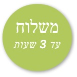 משלוח תוך 3 שעות משלוח תוך 3 שעות